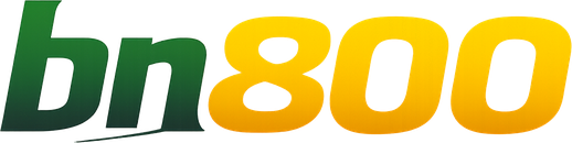 bn800 logo for Bangladesh homepage
